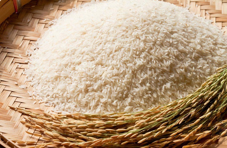 BỎ TÚI BÍ QUYẾT CHỌN GẠO NGON, AN TOÀN CHO SỨC KHỎE GIA ĐÌNH